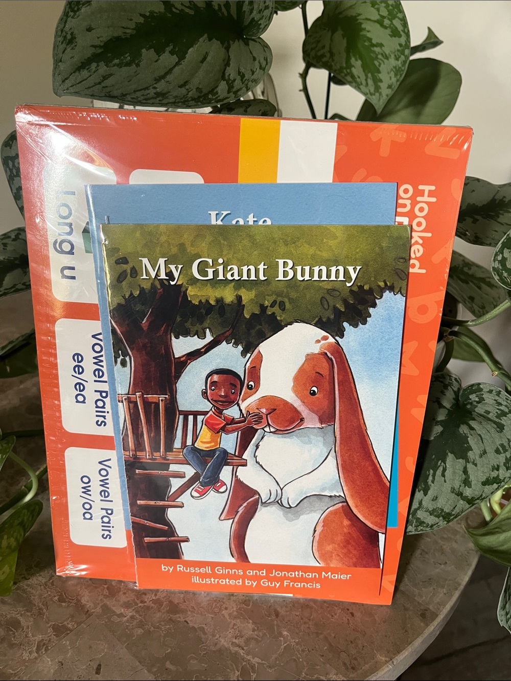 Hooked on Phonics 2 Books My Giant Bunny Kids Book